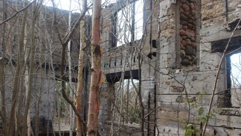 April 2025 - Arson Castle - IMG4282wm.JPG