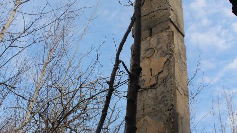 April 2025 - Arson Castle - IMG_4304n.JPG