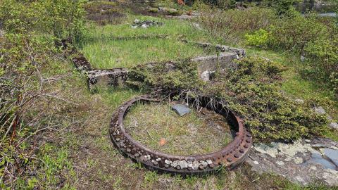 When the Levee Breaks - 20250606_141635.jpg