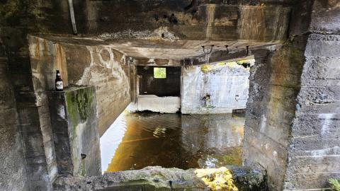 When the Levee Breaks - 20250606_141716.jpg