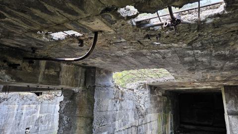 When the Levee Breaks - 20250606_141746.jpg