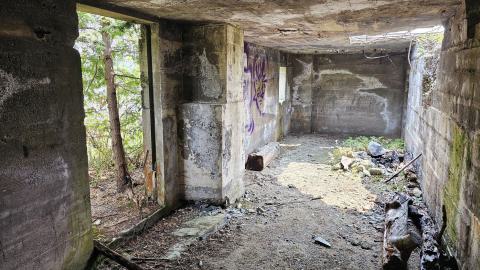 When the Levee Breaks - 20250606_141813.jpg