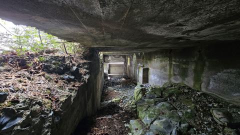 When the Levee Breaks - 20250606_141920.jpg