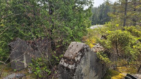 When the Levee Breaks - 20250606_142342.jpg