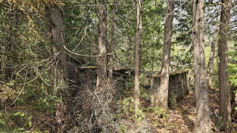 When the Levee Breaks photo 2