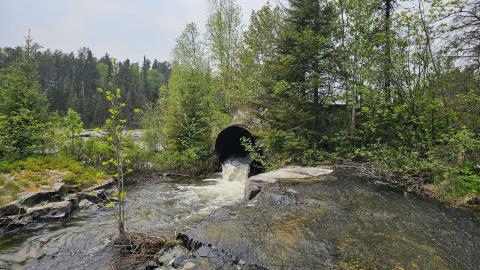 When the Levee Breaks - 20250606_143709(0).jpg