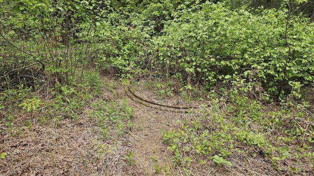 When the Levee Breaks photo 3