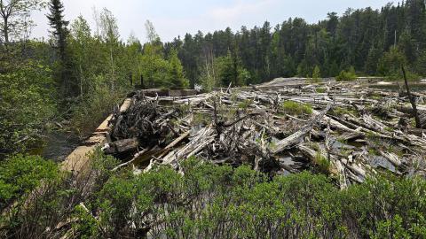 When the Levee Breaks - 20250606_143932.jpg