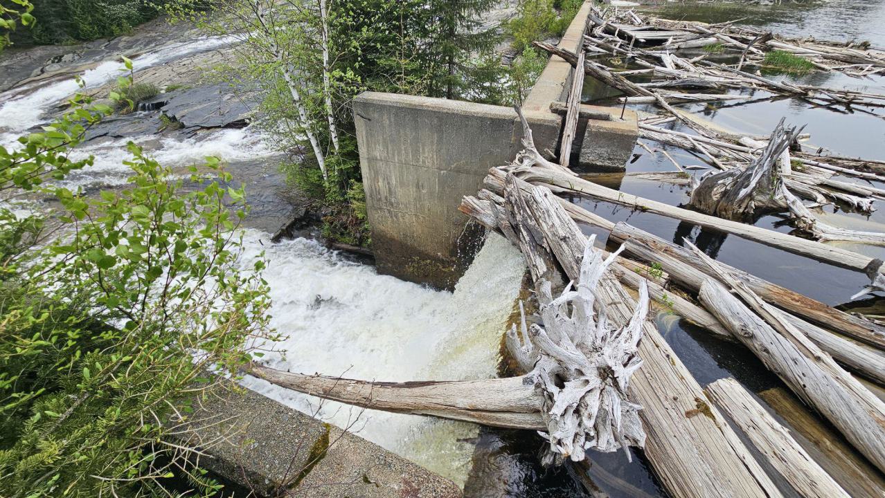 When the Levee Breaks - 20250606_144057.jpg