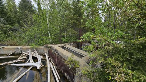 When the Levee Breaks - 20250606_144110.jpg