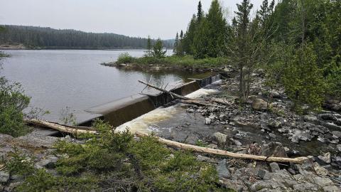 When the Levee Breaks - 20250606_160934.jpg