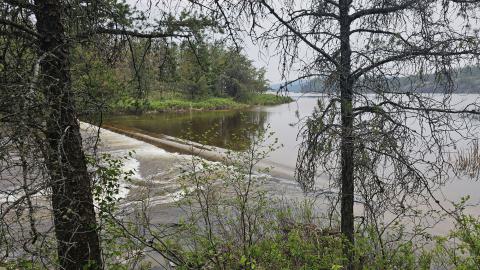 When the Levee Breaks - 20250606_161807.jpg