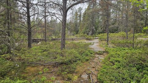 When the Levee Breaks - 20250606_164202.jpg