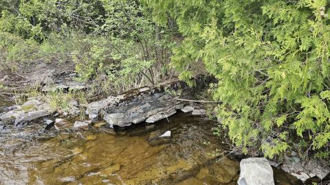 When the Levee Breaks - 20250606_164511.jpg