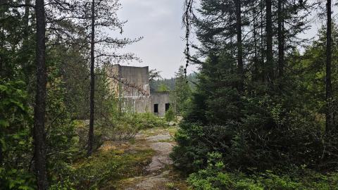 When the Levee Breaks - 20250606_164622.jpg