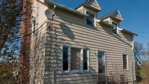 wasps and motorcycles - DSC_0096.jpg