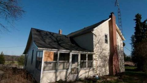 Sideline Wasp House - Pickering, Ontario