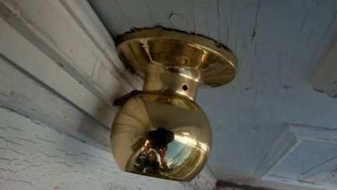 Sideline Wasp House photo 2