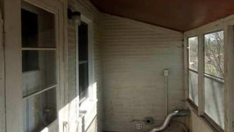 wasps and motorcycles - DSC_0101.jpg