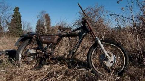 Sideline Wasp House photo 4