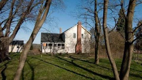 wasps and motorcycles - DSC_0111.jpg