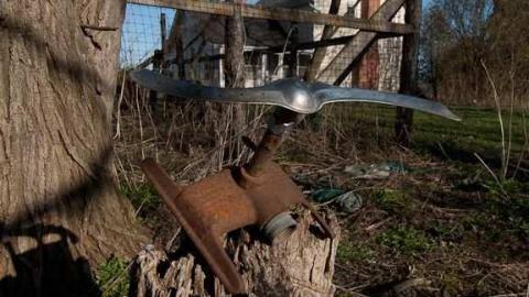 Sideline Wasp House photo 3