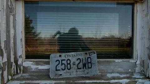 Sideline Wasp House photo 5