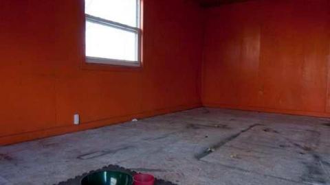 Halls haven - Halls-Road-homestead13.jpg