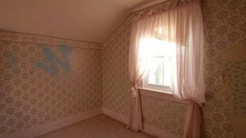 Halls haven - Halls-Road-homestead16.jpg