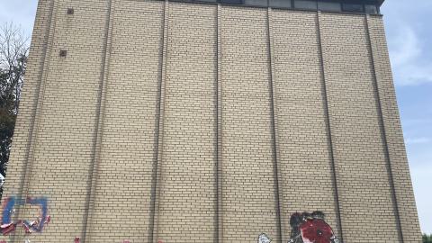 Cracked Open - IMG_5200.jpeg