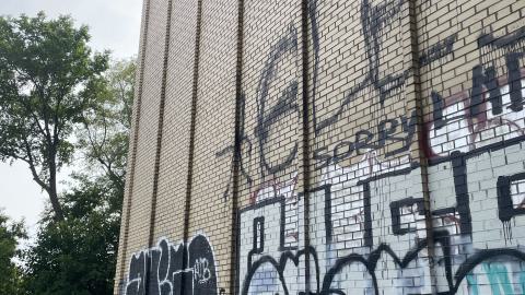 Cracked Open - IMG_5209.jpeg