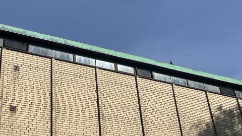 Lakeshore Legion Shed photo 4