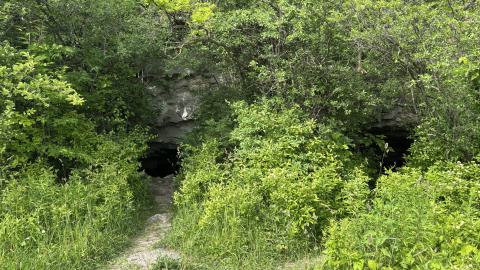 Photo from Queenston mine