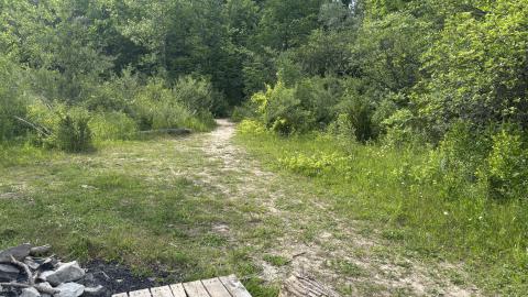 Queenston mine - IMG_4001.jpeg