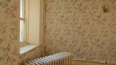 Field stones and the 407 - Redman-Farmstead33.jpg