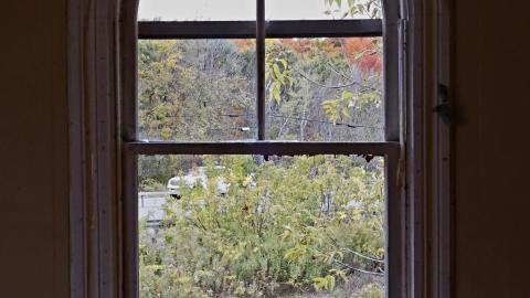 Wish I couldve come before it got bad - _I2A7639.JPG