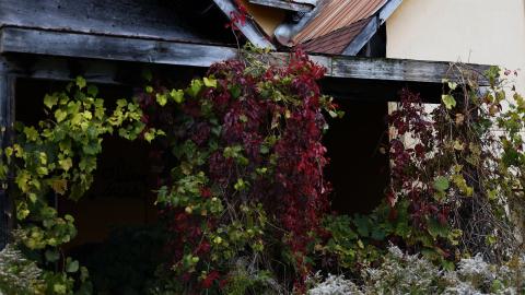 Wish I couldve come before it got bad - _I2A7619.JPG