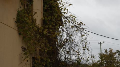 Wish I couldve come before it got bad - _I2A7625.JPG