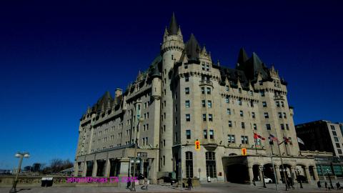 *Magnificent* - MAR 2025 - IMG_3199.JPG