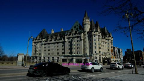 *Magnificent* - MAR 2025 - IMG_3200.JPG