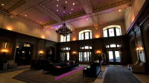 *Magnificent* - MAR 2025 - IMG_3209.JPG