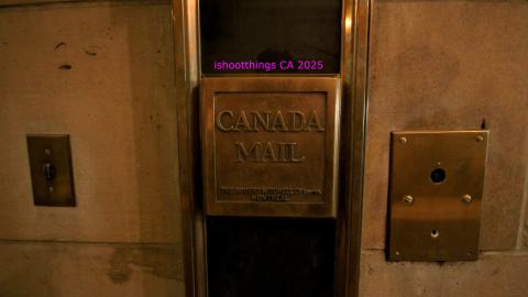 *Magnificent* - MAR 2025 - IMG_3217.JPG