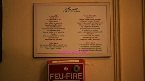 *Magnificent* - MAR 2025 - IMG_3218.JPG