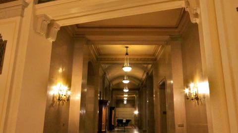 *Magnificent* - MAR 2025 - IMG_3222.JPG