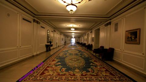 *Magnificent* - MAR 2025 - IMG_3223.JPG