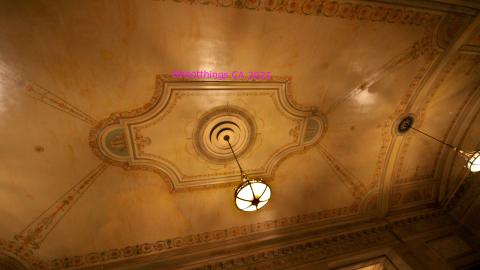 *Magnificent* - MAR 2025 - IMG_3224.JPG