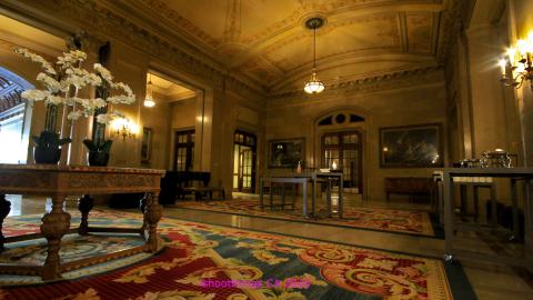 *Magnificent* - MAR 2025 - IMG_3225.JPG