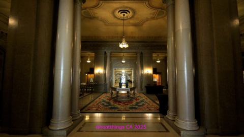 *Magnificent* - MAR 2025 - IMG_3227.JPG