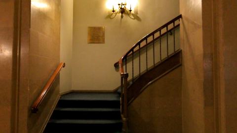 *Magnificent* - MAR 2025 - IMG_3229.JPG