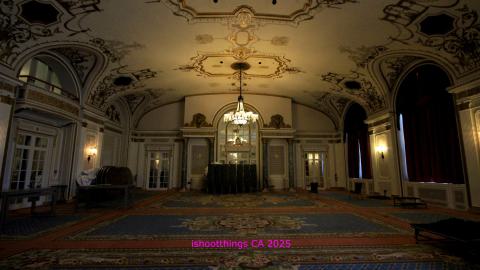 *Magnificent* - MAR 2025 - IMG_3230.JPG